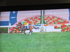 20161211 香港シャティン8R 香港カップ(G1) モーリス 03