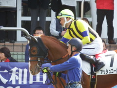 20180224 中山4R 4歳上障害未勝利 アッシュゴールド 10