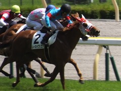 20150510 東京5R 3歳未勝利 レーヌドブリエ 18