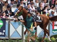 20150927 中山9R 芙蓉ステークス プランスシャルマン 06