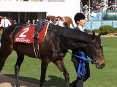 20150328 中山11R 日経賞(G2) ラブイズブーシェ 02