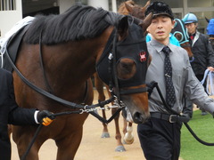 20160417 中山9R 鹿野山特別 1000万下 オウケンブラック 04