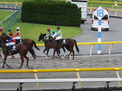 20150628 東京11R パラダイスS アルマディヴァン 14