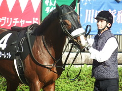 20181125 東京8R オリエンタル賞(1000) ロジスカーレット 17