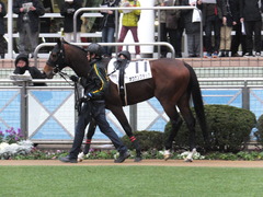 20160123 中山12R 4歳上500万下 オウケンブラック 06