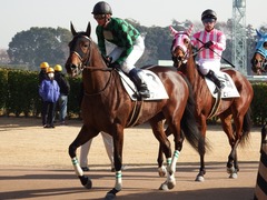 20171216 中山2R 2歳牝馬未勝利 ルフィーナ 13