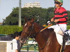 20170909 中山12R 3歳上500万下 メガポリゴン 22