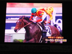 20151213 香港マイル(G1)モーリス 優勝おめでとう!