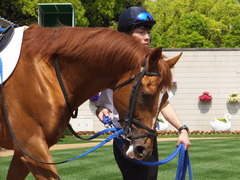 20150425 京都3R 3歳未勝利 モーグリ 05