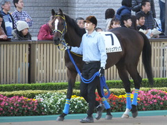 20141116 東京1R ラッシュアタック 02