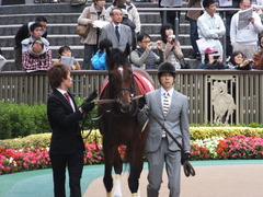 20131109 東京 モーリス 09