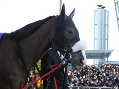 20151229 大井10R 東京大賞典 (G1) ユーロビート 13