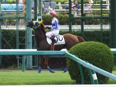 20160910 中山4R 3歳上障害未勝利 ワイルドジーク 10
