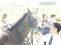20140531 東京6R オウケンブラック 21