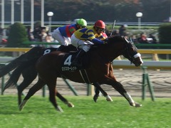 20181125 東京8R オリエンタル賞(1000) ロジスカーレット 24