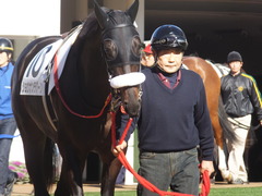 20131221 中山競馬場 ショウナンラグーン 04