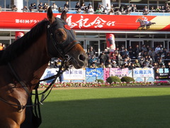 20161224 中山10R クリスマスカップ(1000) オウケンブラック 13