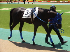 6月最後の東京でのルルドノヒトミちゃん3