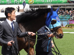 20170402 中山6R 3歳500万下 アドマイヤシナイ 05