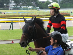 20170618 東京4R 3歳未勝利 ホウオウジャンプ 12
