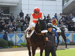 20140316 中山6R ショウナンラグーン 13
