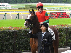 20161030 東京1R 2歳未勝利 プンメリン 19