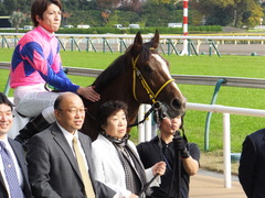 20161120 東京8R (1000) ノーモアゲーム 22