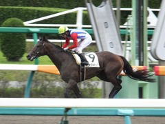 20150927 中山3R 3歳未勝利 タニオブキャップ 13