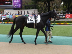 20151031 東京5R 2歳メイクデビュー ラルゴランド 04