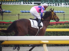 20181020 東京12R (1000) ノーモアゲーム 19