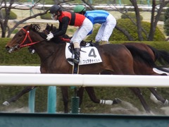20170311 阪神3R 3歳メイクデビュー フェアチャイルド 32