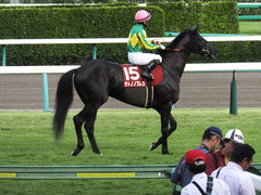 20150927 中山11R オールカマー サトノノブレス 16