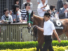 20160515 東京9R テレ玉杯(1000) ツクバアスナロ 03