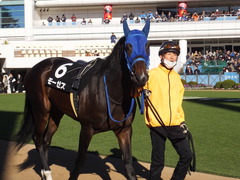 20151219 中山9R ひいらぎ賞 2歳500万下 モーゼス 07