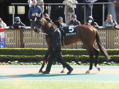 20150221 東京9R 4歳上1000万下 オウケンブラック 01