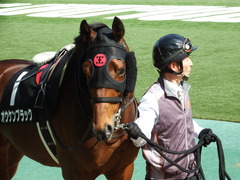 20180421 東京10R 府中S(1600) オウケンブラック 11