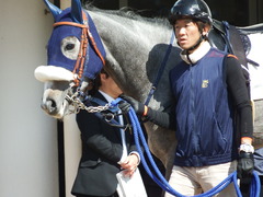 20180304 中山5R 3歳牝馬未勝利 プラチナベール 05