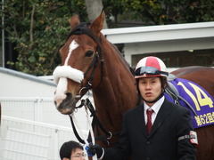 20180221 大井11R 大井金盃(S2) ユーロビート08