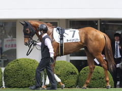 20160326 中山2R 3歳未勝利 オートシャンティ 03