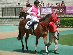 20190512 東京1R 3歳未勝利 ハクシンドリーム 08