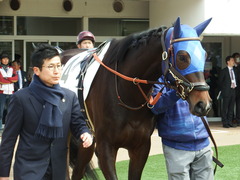 20180318 中山1R 3歳牝馬未勝利 ラプターゲイル 05