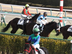 20160124 中山5R 3歳未勝利 アークアーセナル 18