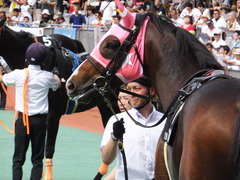 20160710 中京10R 木曽川特別(1000) ビップレボルシオン 17