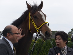 20160312 中山6R 3歳500万下 ノーモアゲーム 20