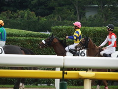 20180616 東京6R 3歳未勝利 ロジスカーレット 24