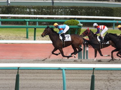 20150321 中山8R 4歳上500万下 ヴィルトグラーフ 10