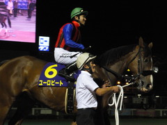 20161012 大井11R 東京記念(S2) ユーロビート 18