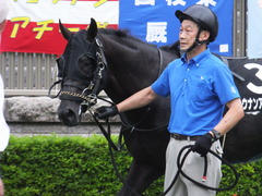 20170625 東京11R パラダイスS 3歳上(OP) ショウナンアチーヴ 12
