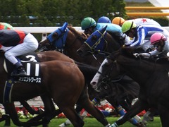 20170624 函館10R 湯川特別(500) ヤマニンリュウセイ 11