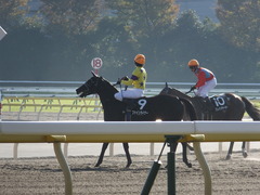 20141122 東京9R からまつ賞 ファインライナー 14
